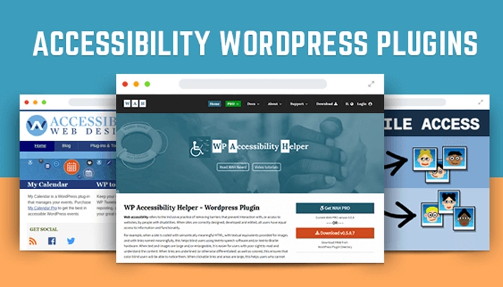 Overview of Accessibility WordPress Plugins